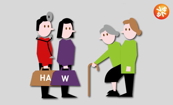 Transmurale zorgbrug