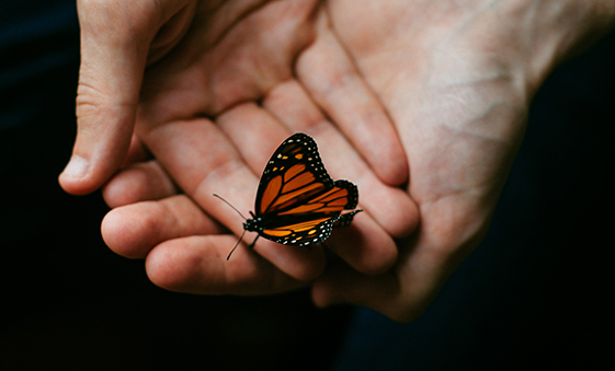 Van zorgen voor naar zorgen dat