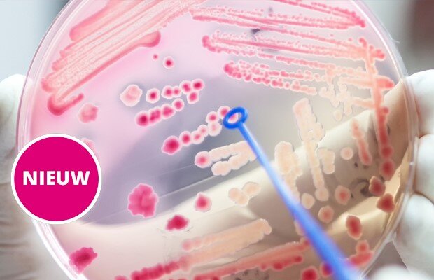 BRMO in de thuiszorg