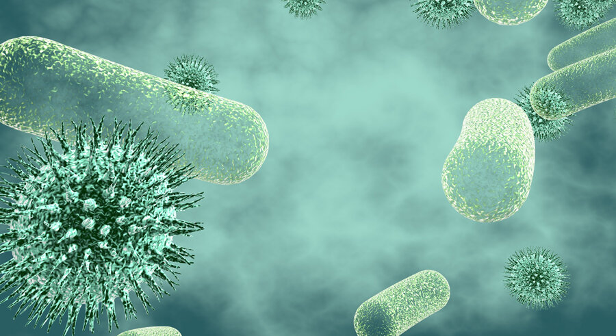 Voorbeelden van bacteriën (sigaarvormig) en virussen (met spikes).